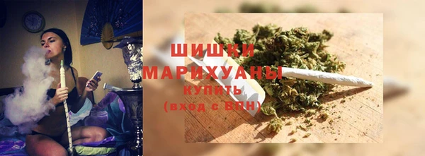 гашик Пестово