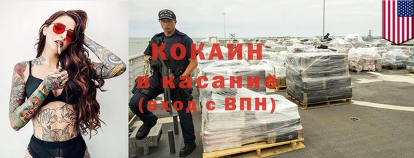 гашик Пестово