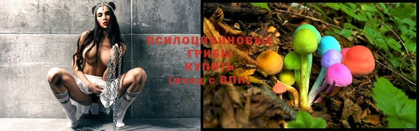 mix Абинск